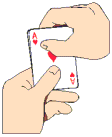 pinochle cards hand